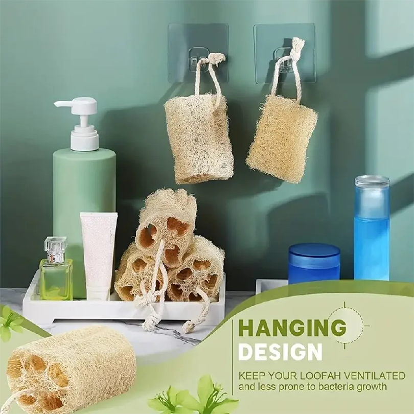 Natural Egyptian Loofah Exfoli - Body Loofah Natural review and price