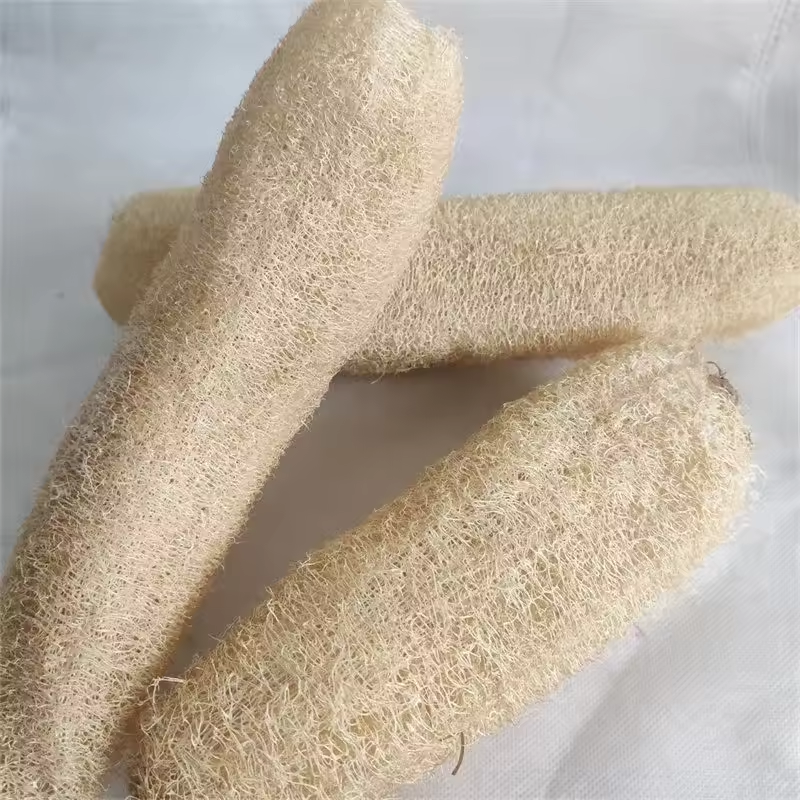 Natural Loofah Sponge Multi-pu - Body Loofah Natural review and price