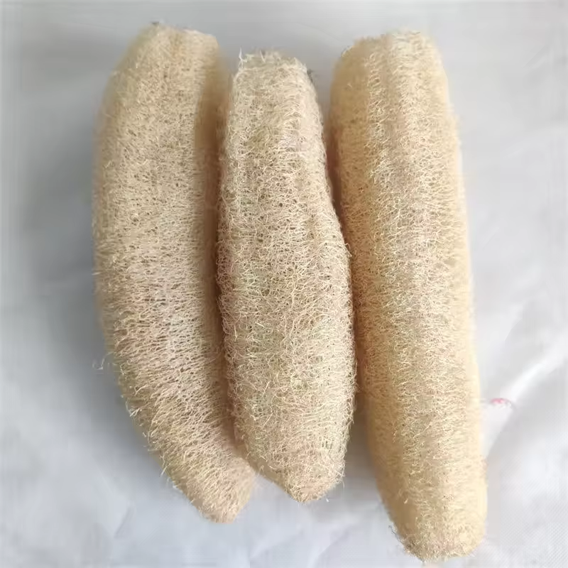 Natural Loofah Sponge Multi-pu - Body Loofah Natural review and price