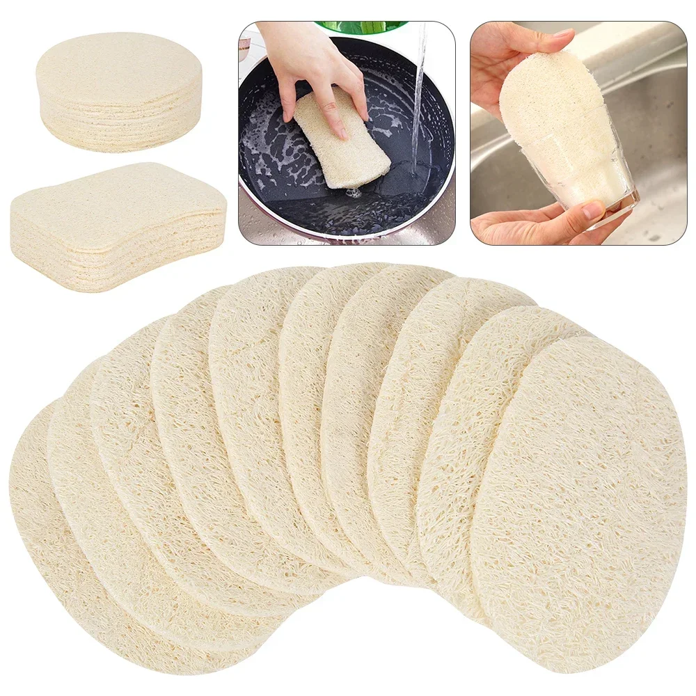 5 Pcs Natural Luffa Dish Washi - Body Loofah Natural review and price