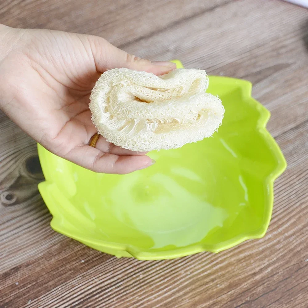 5 Pcs Natural Luffa Dish Washi - Body Loofah Natural review and price