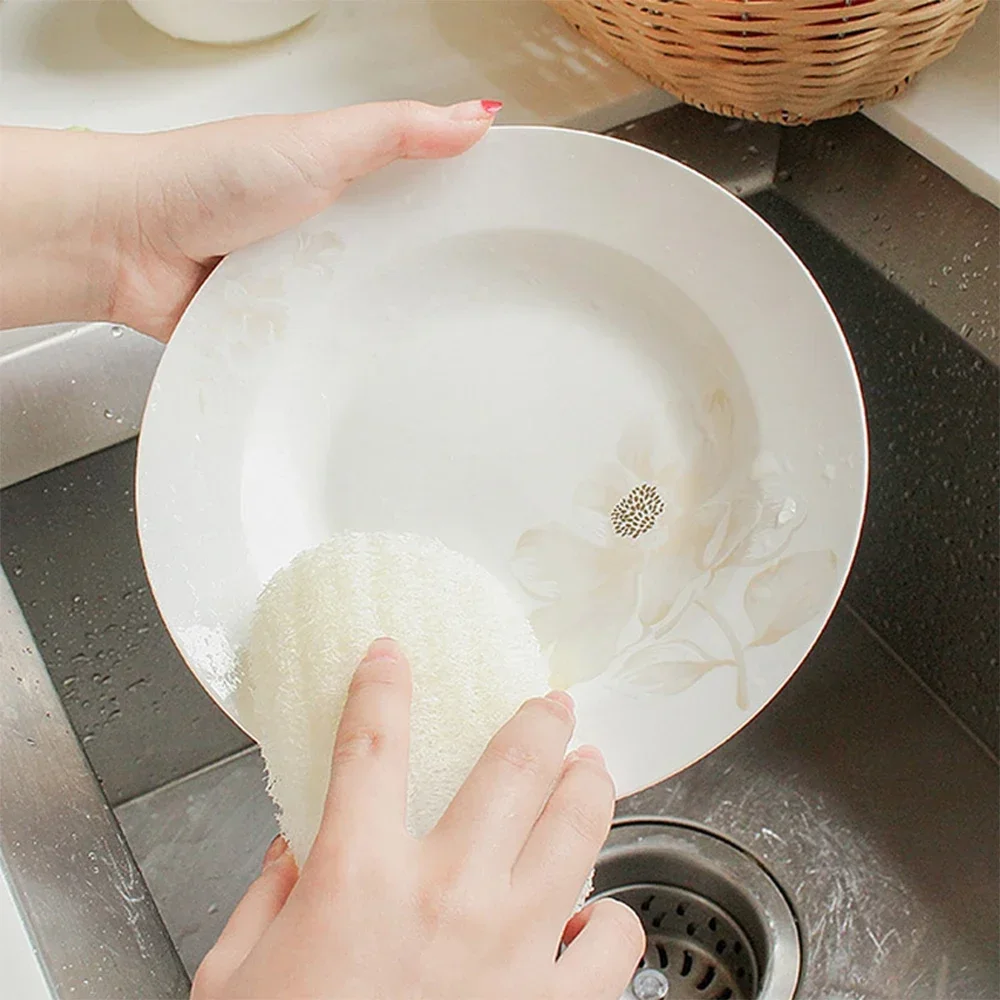 5 Pcs Natural Luffa Dish Washi - Body Loofah Natural review and price